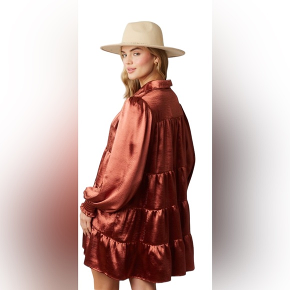 Winter Fall Country Gorgeous Dress w/ Pockets in Bronze NWT - Picture 7 of 12